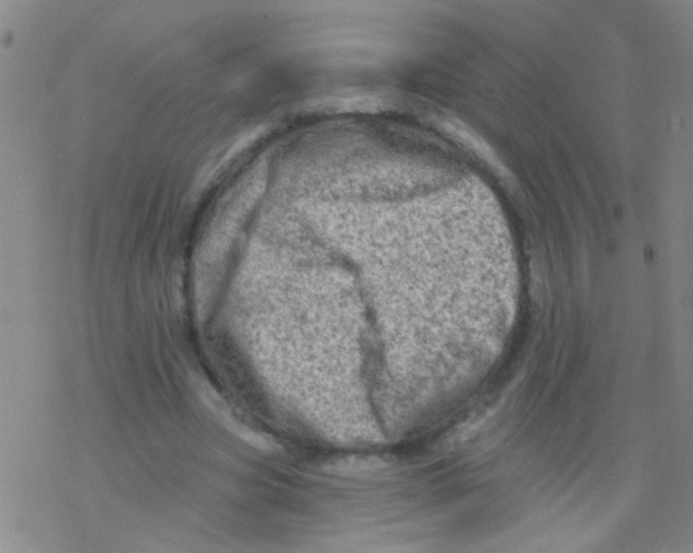 X0000076300537200610271916