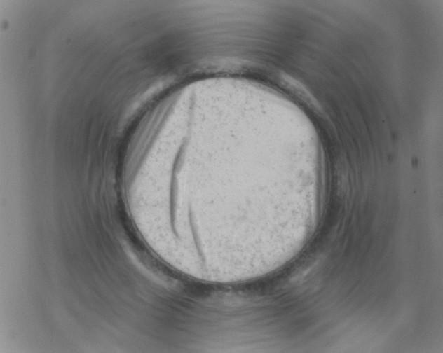 X0000076300538200610271917