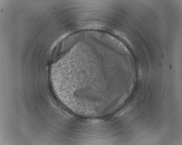 X0000076300539200610271917