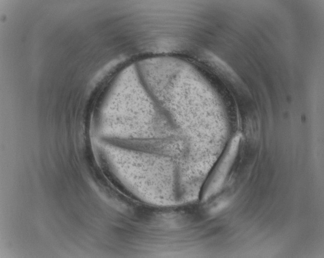 X0000076300540200610271917