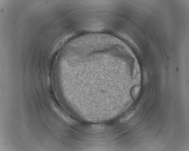 X0000076300541200610271917