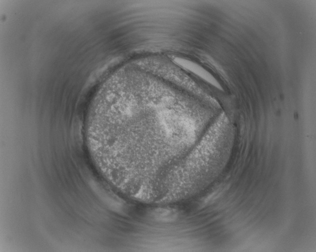 X0000076300542200610271917