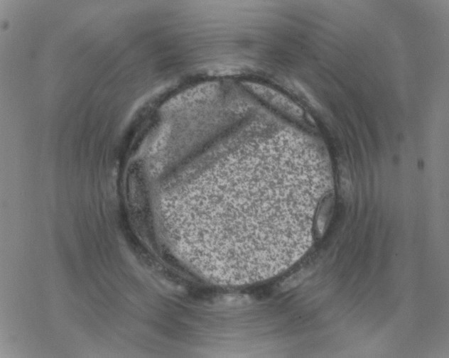 X0000076300543200610271917