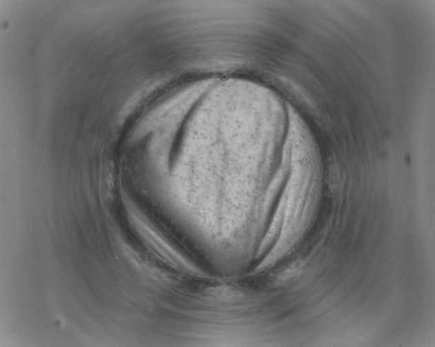 X0000076300544200610271917