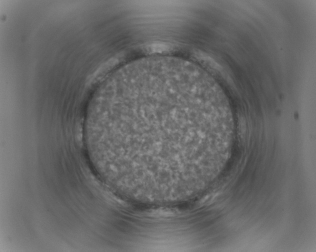 X0000076300545200610271917