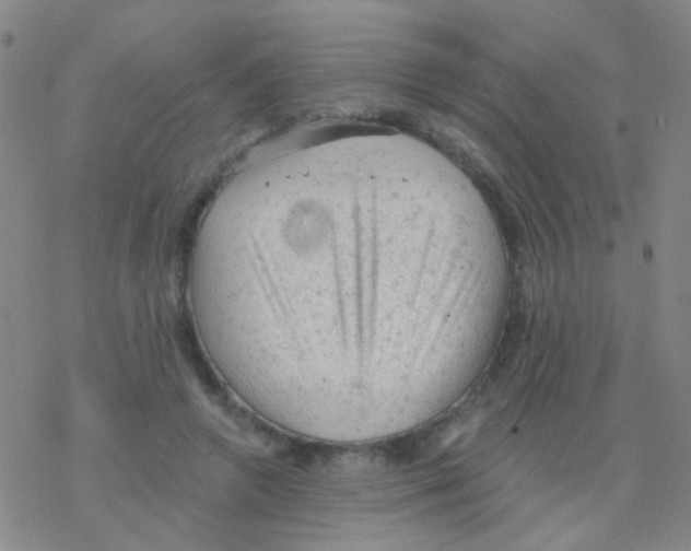 X0000076300546200610271917