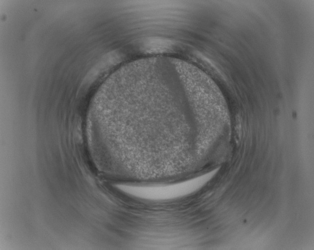 X0000076300547200610271917