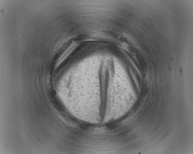 X0000076300548200610271917