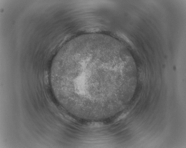 X0000076300549200610271917