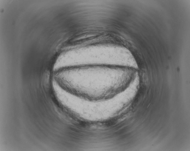 X0000076300550200610271917