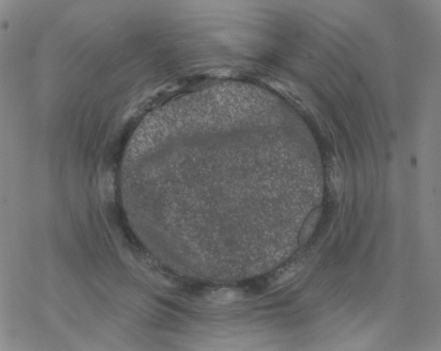 X0000076300551200610271917