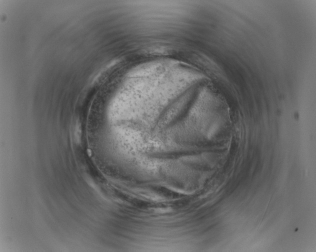 X0000076300552200610271917