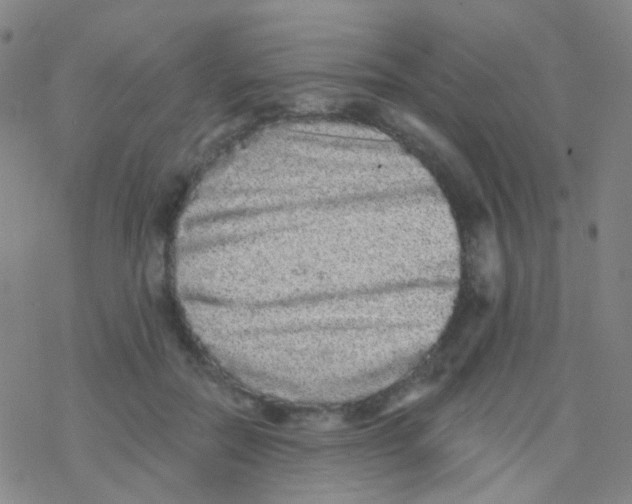 X0000076300554200610271917