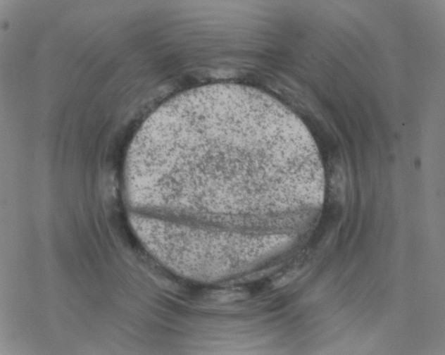 X0000076300555200610271917