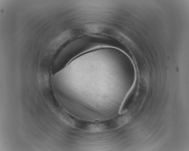 X0000076300556200610271917