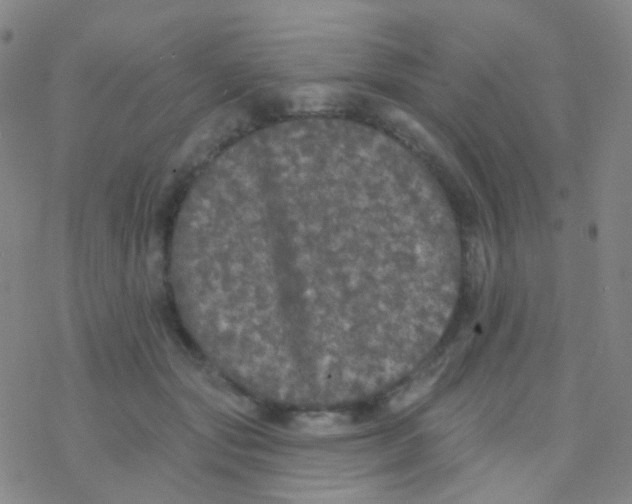 X0000076300557200610271917