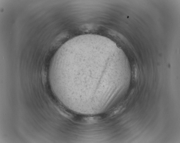 X0000076300558200610271917