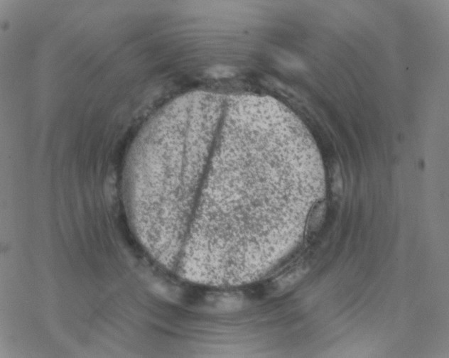 X0000076300559200610271917