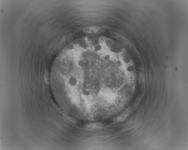 X0000076300561200610271917