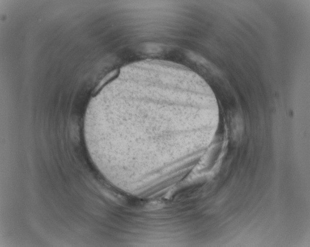 X0000076300562200610271917