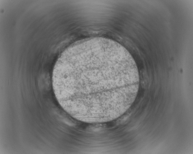 X0000076300563200610271917