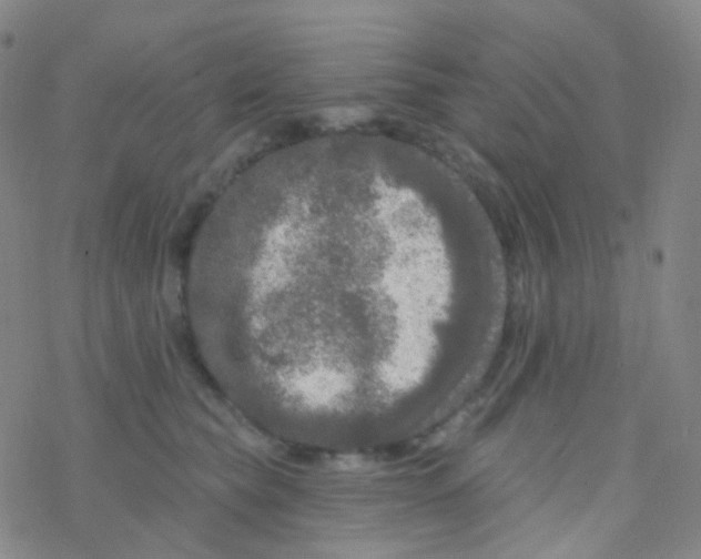 X0000076300565200610271917