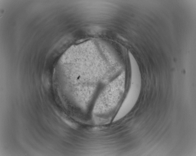 X0000076300566200610271917