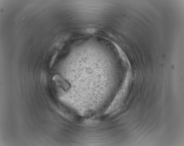 X0000076300568200610271917