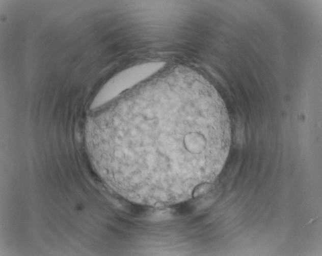 X0000076300569200610271917