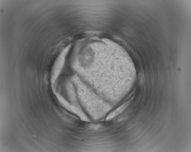 X0000076300570200610271917