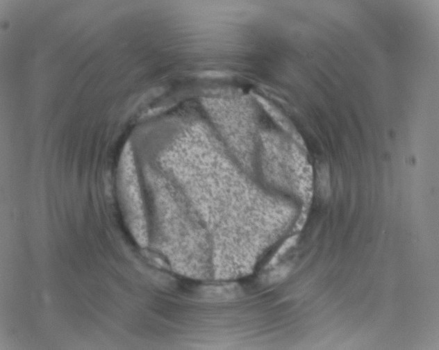 X0000076300571200610271917