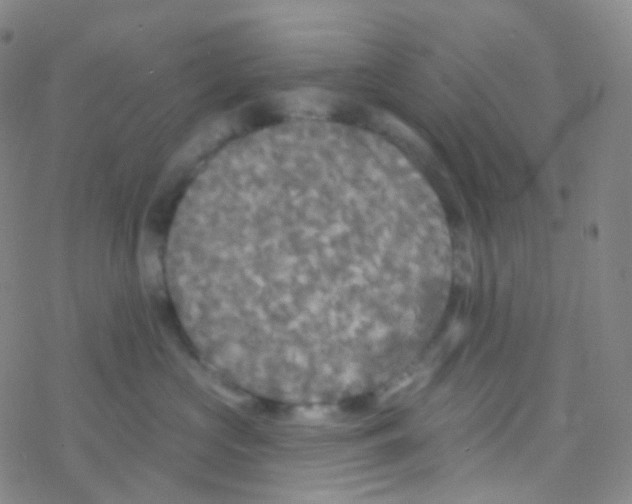 X0000076300573200610271917