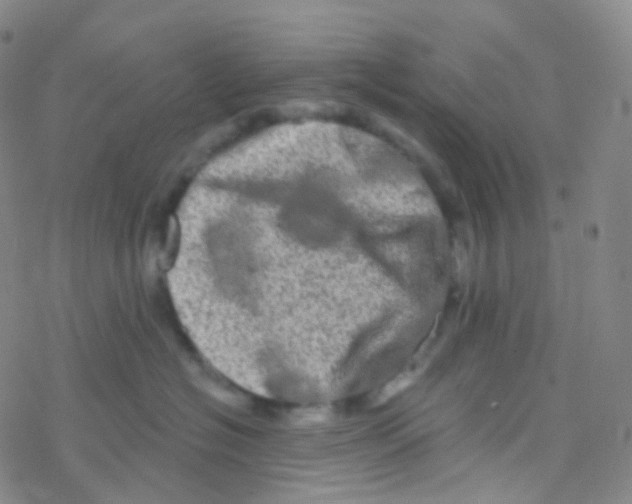 X0000076300574200610271917