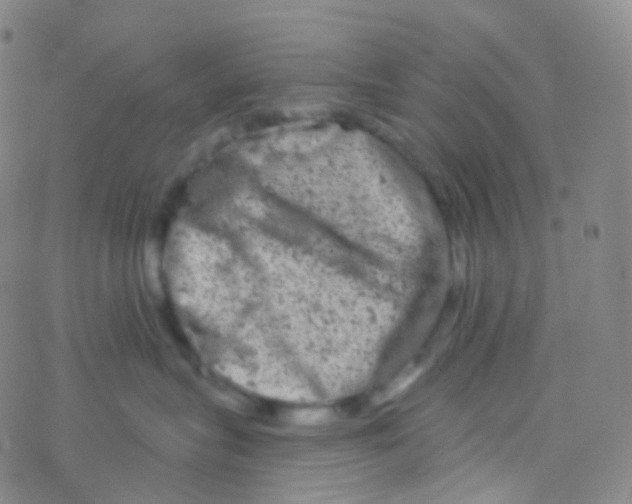 X0000076300575200610271917