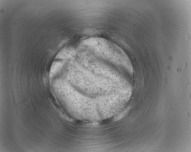 X0000076300576200610271917