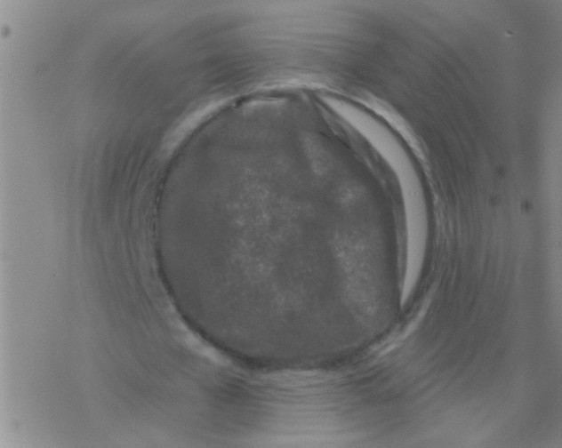 X0000076300577200610271916