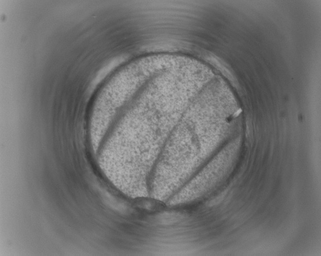 X0000076300578200610271916