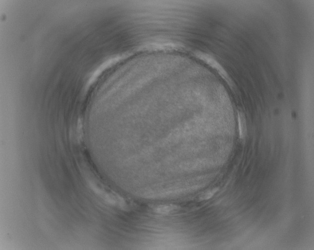 X0000076300579200610271916