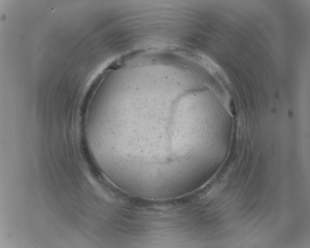 X0000076300580200610271916