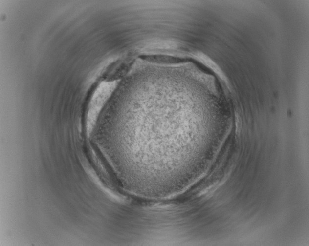 X0000076300581200610271916