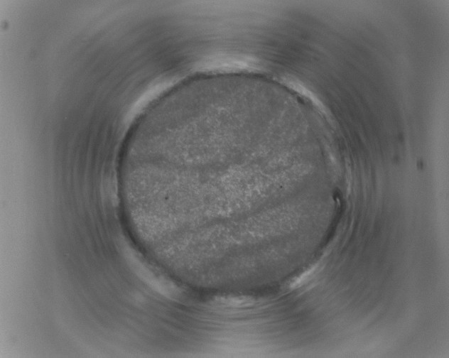 X0000076300582200610271916