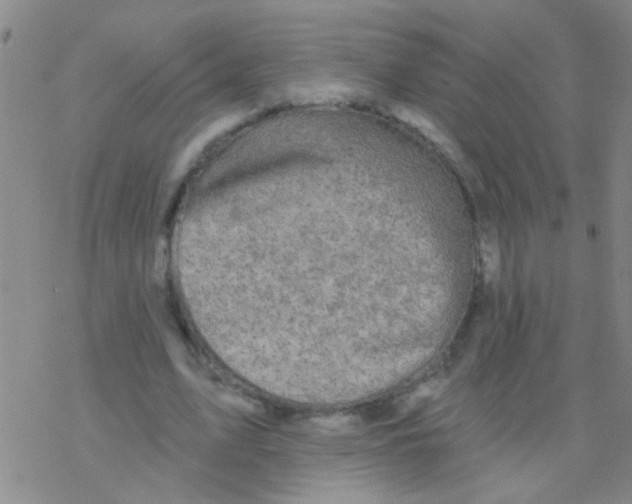 X0000076300583200610271916