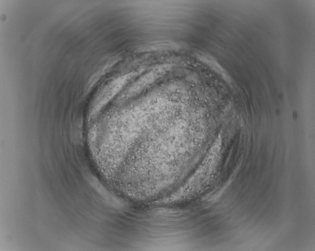 X0000076300585200610271916