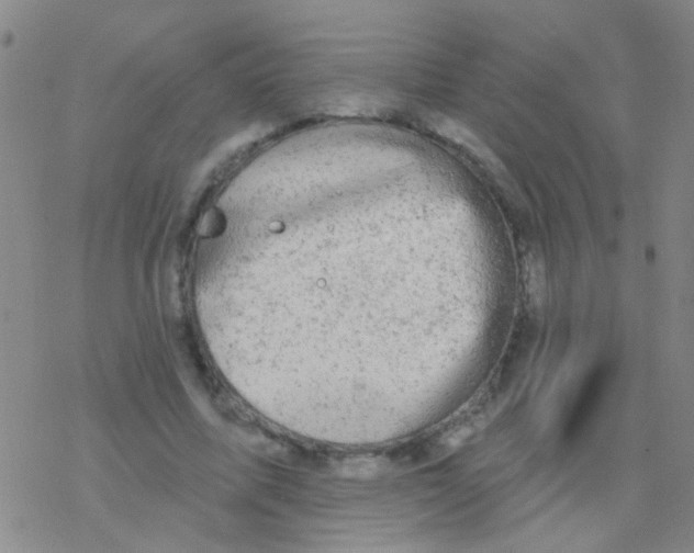 X0000076300587200610271916