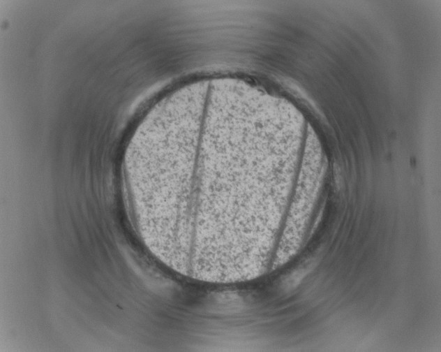 X0000076300588200610271916