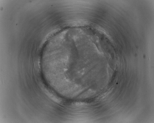 X0000076300590200610271916