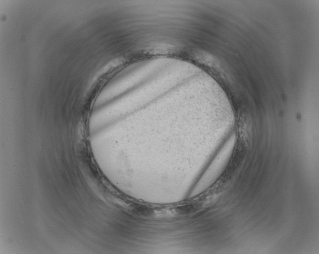 X0000076300591200610271916