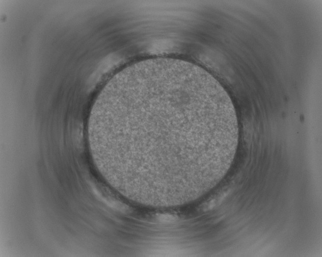 X0000076300592200610271916