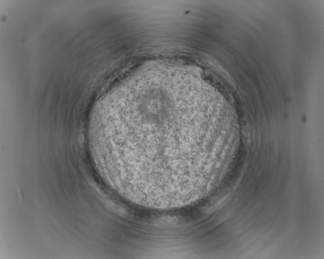 X0000076300593200610271916