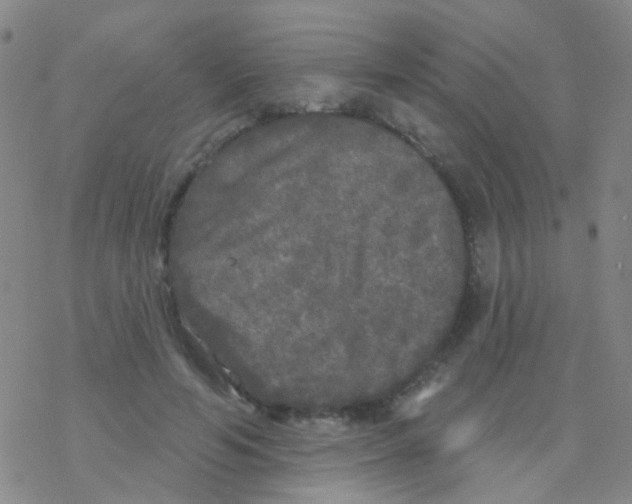 X0000076300594200610271916